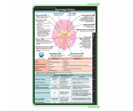 WhiteCoat Clipboard® - Mint Neurology Edition