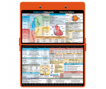 WhiteCoat Clipboard® - Orange Veterinary Medicine Edition