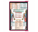 WhiteCoat Clipboard® - Pink Physical Therapy Edition
