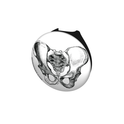 Vintage Pelvis Diagram Stethoscope Button